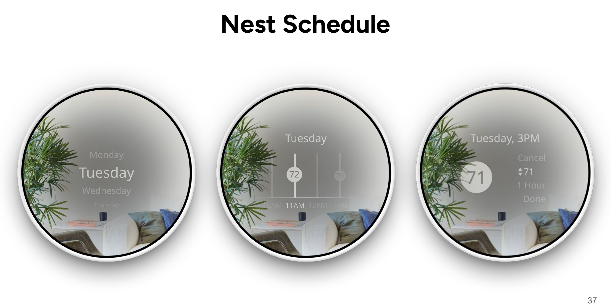 Final Nest schedule